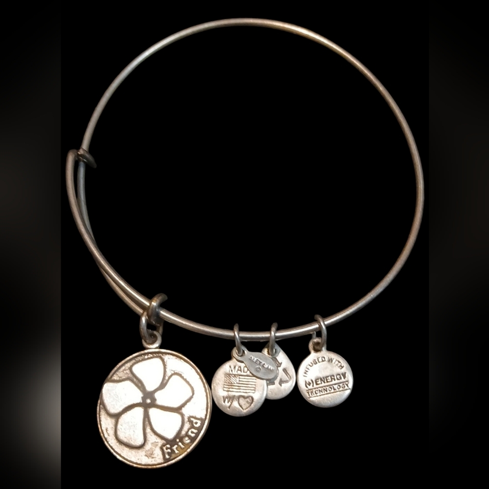 Alex and Ani - Silver Tone Wire Energy Infused Friend Charm Bracelet, Date 2013 - Picture 7 of 10